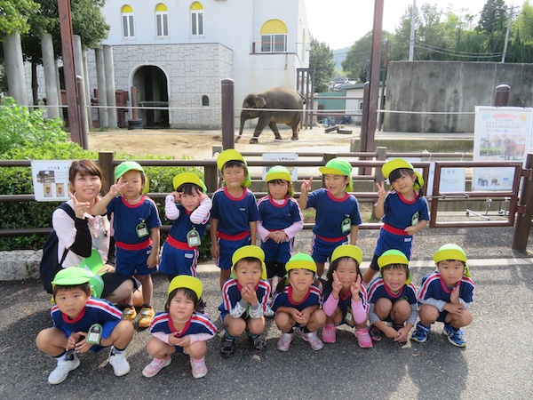 白ゆり幼稚園の入園案内の画像1
